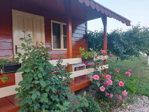 Mahmudia House | Pensiunea Raluca