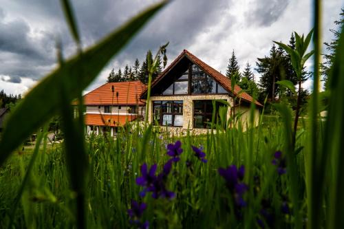 Belis Cabin | Pensiunea Romconcord