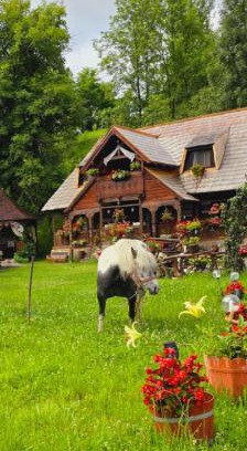Oncesti Cabin | Pensiunea Rustic Oncesti