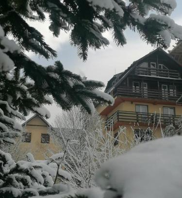 Lupeni House | Pensiunea Vladis