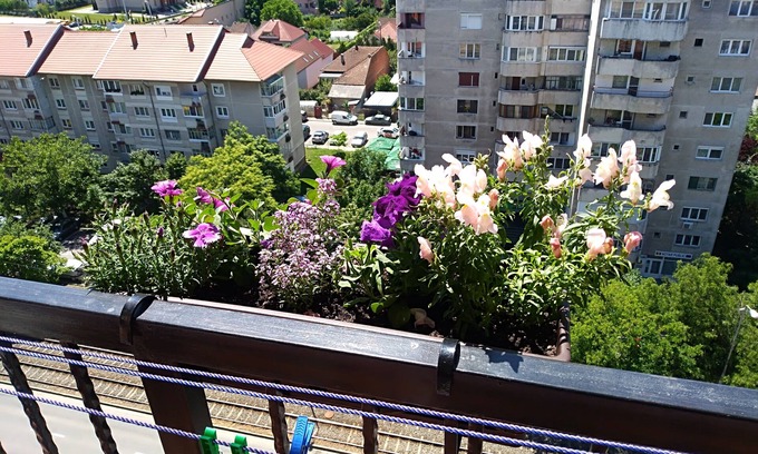 Oradea Apartment | Penthouse apartment Nufarul Oradea