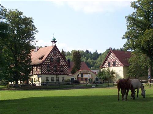 Mytinka House | Penzion Štekrův Mlýn