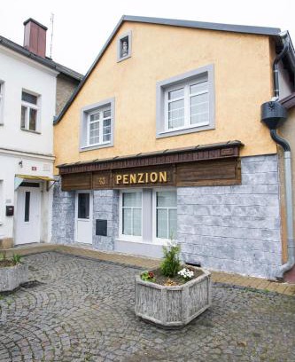 Bor u Tachova House | Penzion 43