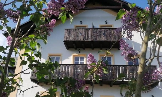 Srbska Kamenice House | Penzion Henke