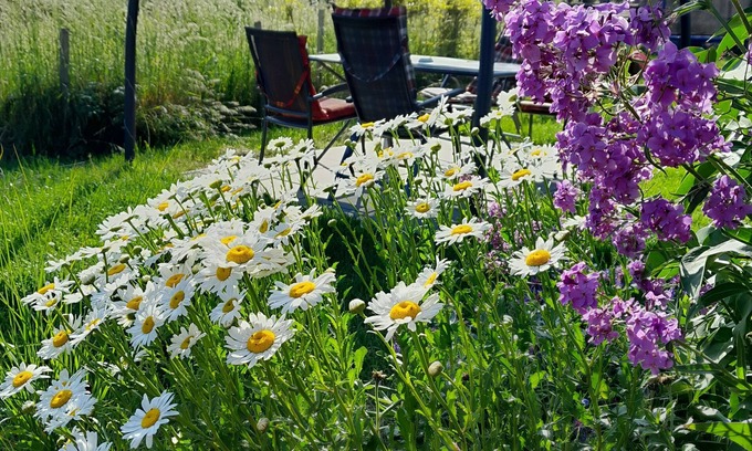 Nemojany House | Penzion mala farma