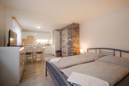 Bela pod Pradedem House | Penzion Mona