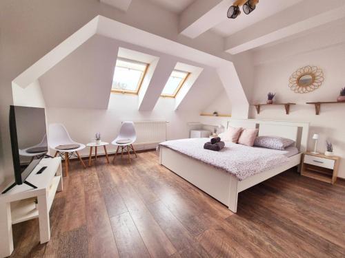 Usti nad Labem District House | Penzion ORION