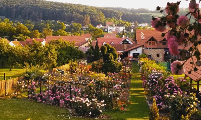 Radejov House | penzion ROSETA