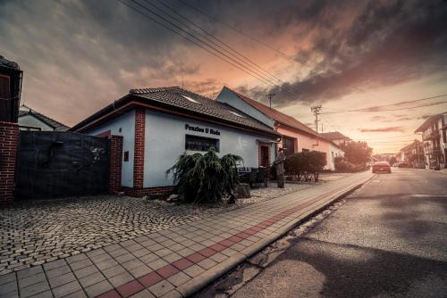 Velke Pavlovice House | Penzion U Hada
