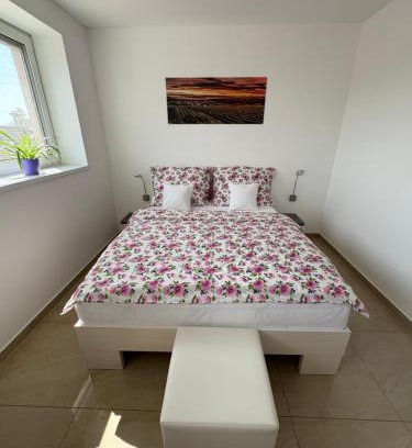 Velke Pavlovice House | Penzion vinařství Mikulica