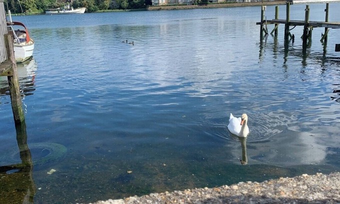 Portswood House | Perfect 2-bedroom house, Albert cottage with WiFi in charming Southampton