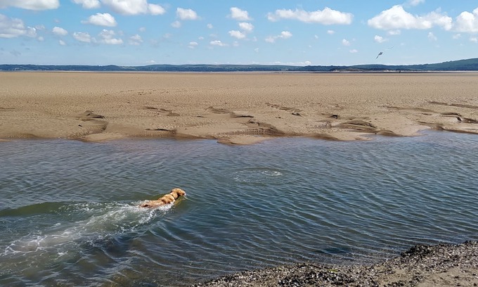 Kidwelly Cottage | Perfect couples retreat, dog-friendly, explore the welsh coast.