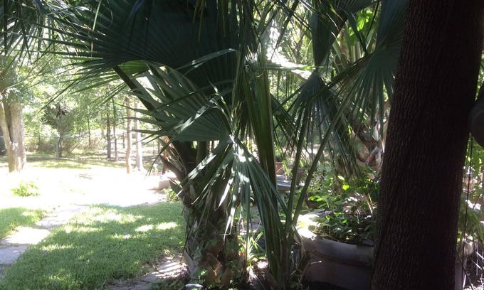 Raintree Apartment | Perfect for work or fun! 1 NIGHT RENTAL AVAILABLE!