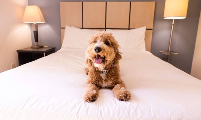 South Hills Hotel | Perfect Pittsburgh Retreat! Fully-equipped Kitchen, Pet-friendly Property!