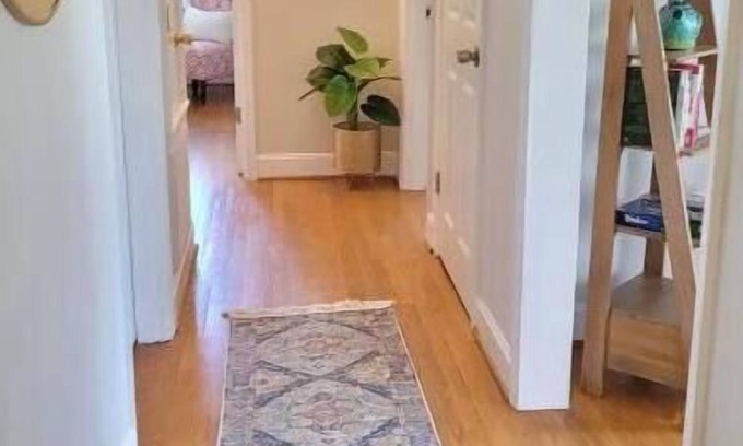 Lynchburg Apartment | Perfect Spot for Graduation! 2 Mi to LU- Renovated 2 Bed 1 Bath