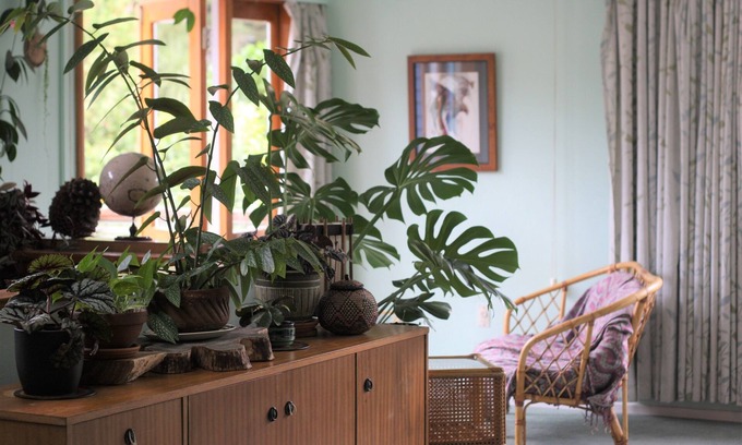 Raumati South House | Permaculture Home & Garden, Sunny, Peaceful, Family home, close to Beach & Park