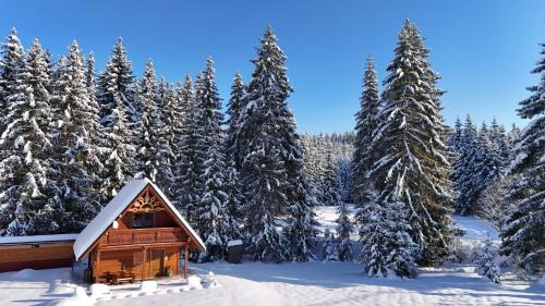 Zakamenne House | Perníková chalúpka