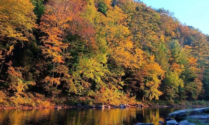 Benezette Cabin | Pet friendly 4 br home on 6.5 acres w access to swim & fishing area -sleeps 10