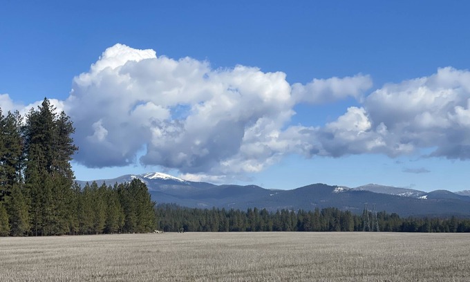 Colbert House | (pet friendly) Beautiful View
