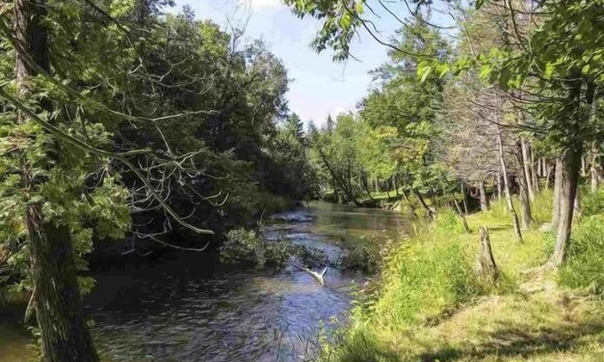 Thompsonville Cabin | Pet-Friendly, Betsie River Retreat - Sleeps 10 - Ski, Fish, and More!