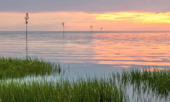 South Orleans Apartment | Pet Friendly, Close to Beaches, Golf, Dining, Shopping, Includes Linens(2396)