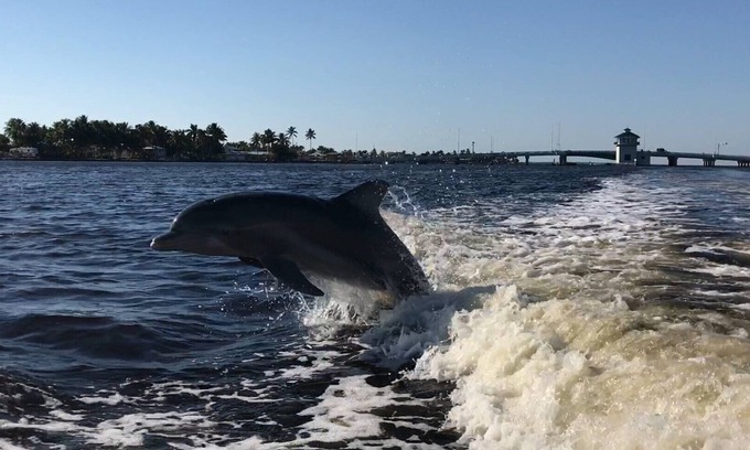 Matlacha Hotel | Pet-Friendly/Family-Friendly Waterfront Vacation Rental + Free Boat Dockage!