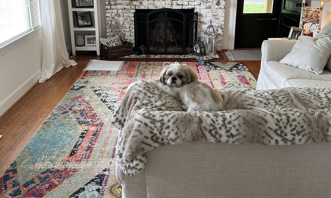 Ararat House | Pet friendly, Feel at home farmhouse with large deck. 15 minutes to downtown.