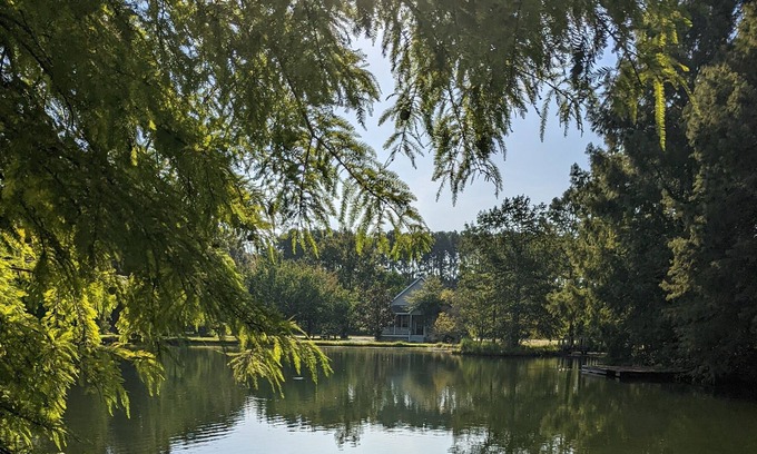 Folsom House | Pet friendly House with pool