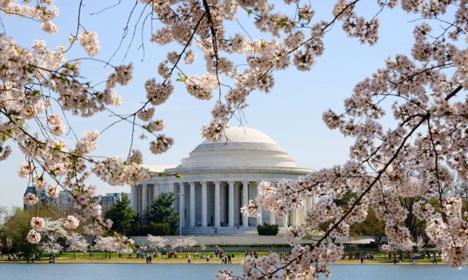 Capitol Hill Hotel | Pet Friendly King Stay! Gym Access | Near Museums & Cultural Landmarks