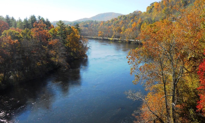 Arden Apartment | Pet Friendly One Bedroom Get Away, Close to Asheville