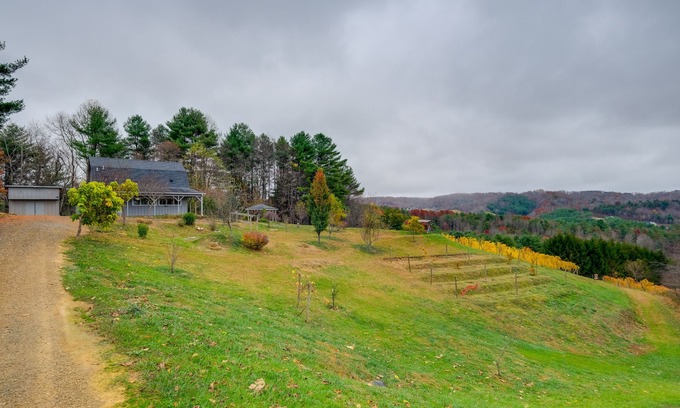 Pilot Apartment | Pet-Friendly Pilot Studio w/Vineyard Views!