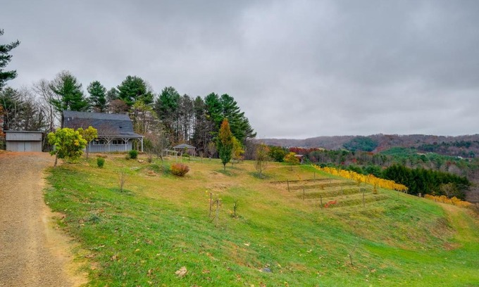 Pilot Apartment | Pet-Friendly Pilot Studio with Vineyard Views!