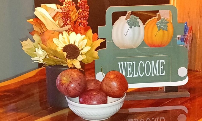 Fordland Apartment | Pet Welcoming studio!