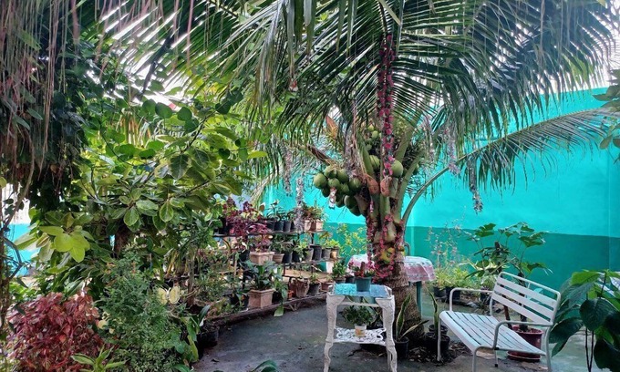 Roxas City House | Pete's Inn