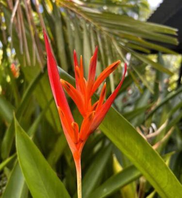 Karama House | Pete's Place