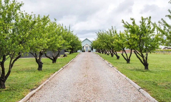 McLaren Vale House | Pethick House: Estate amongst the vineyards
