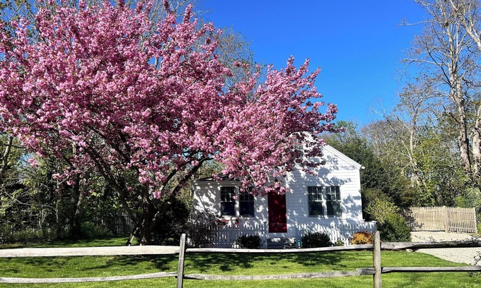 Orleans Cottage | Petite Antique, location, location, location