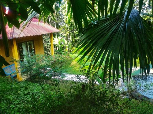 Kalimpong House | Petrichor Forest Retreat