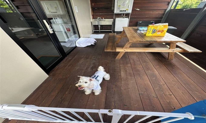 Taketomi-jima Taketomi-cho Cottage | Pets allowed Stay with your dog Cottage with wo/Ishigaki Okinawa