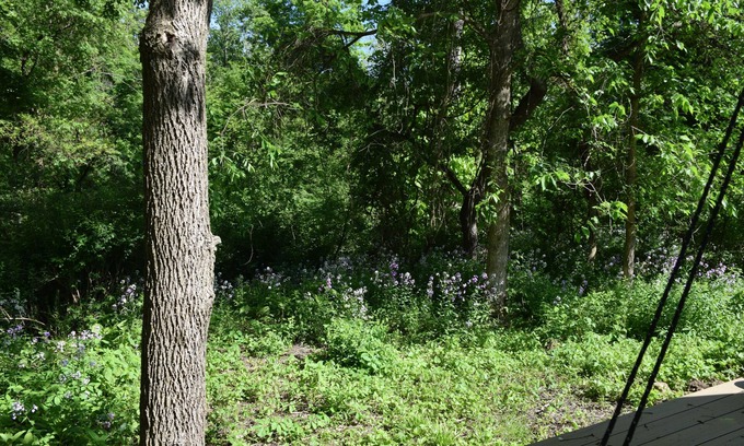 Newark Valley Other | Peyper Fields Creekside Camp