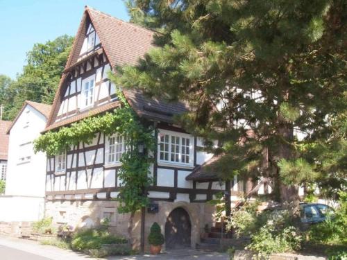Oberotterbach House | Pfaelzerleben Palatinate experience