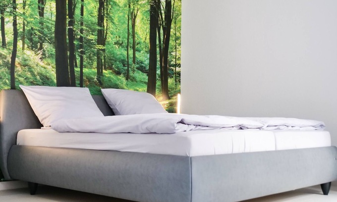 Weisenheim am Berg Apartment | Pfalzzeit - Der Wald