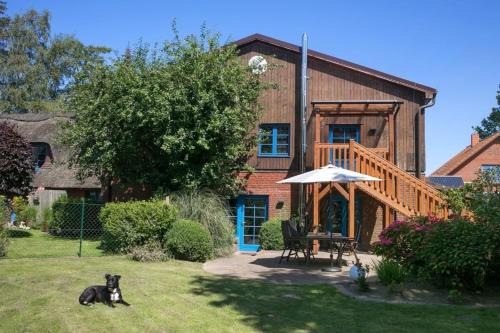 Stenderup Apartment | Pferdeblick