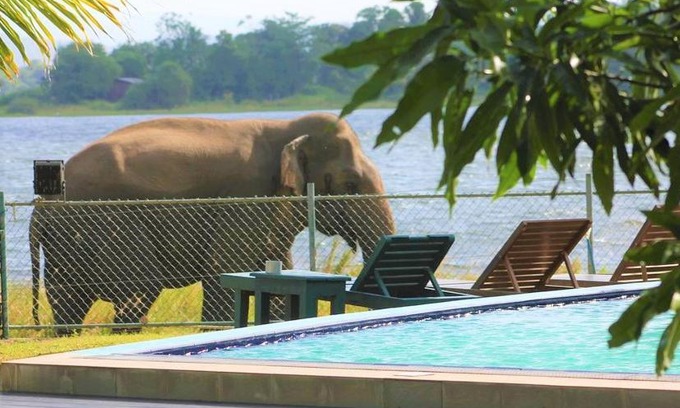 Polonnaruwa Hotel | Pharo Lake