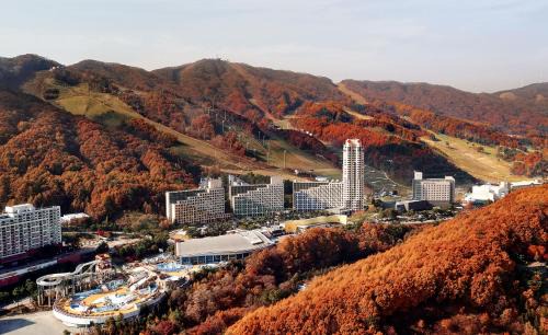 Bongpyeong Hotel | Phoenix Hotel Pyeongchang