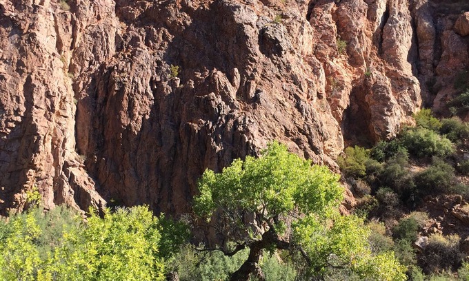 Camelback East House | Phoenix mountain Preserve walk to spectacular hiking ,Biltmore resort close