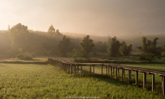 Phu Ruea Resort | Phuruarounmai Organic Living Resort