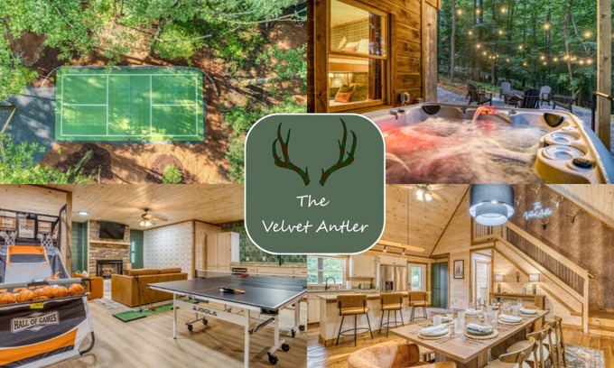 Blue Ridge Cabin | Pickleball in the Woods-Sauna-Hot tub-Firepit-Near Downtown