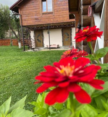 Verkhovyna Cabin | Pidkova