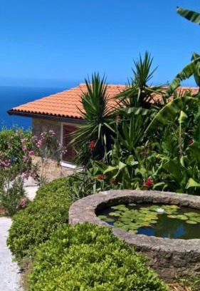 Pisciotta House | Pietra Fiorita Cottage